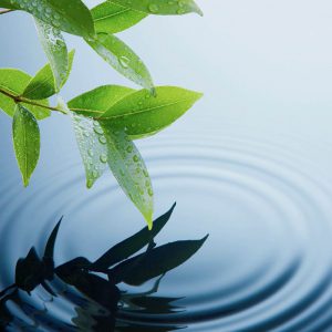 Acqua